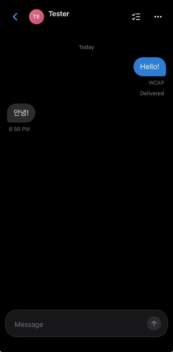 WCAP Messages conversation with Tester showing two test greetings, a Delivered status, and the message composer.